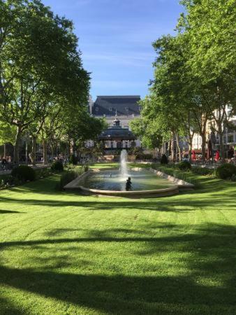 Le Cosy Central Moderne Et Chaleureux Saint-Etienne  Exteriör bild